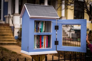 bookriotcom_little_free_library_01